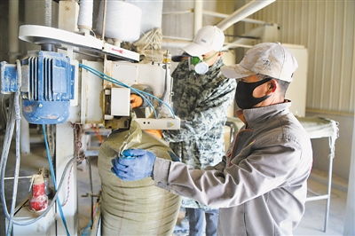 秸稈變藝術 資源化利用的新路徑與技術支持探析